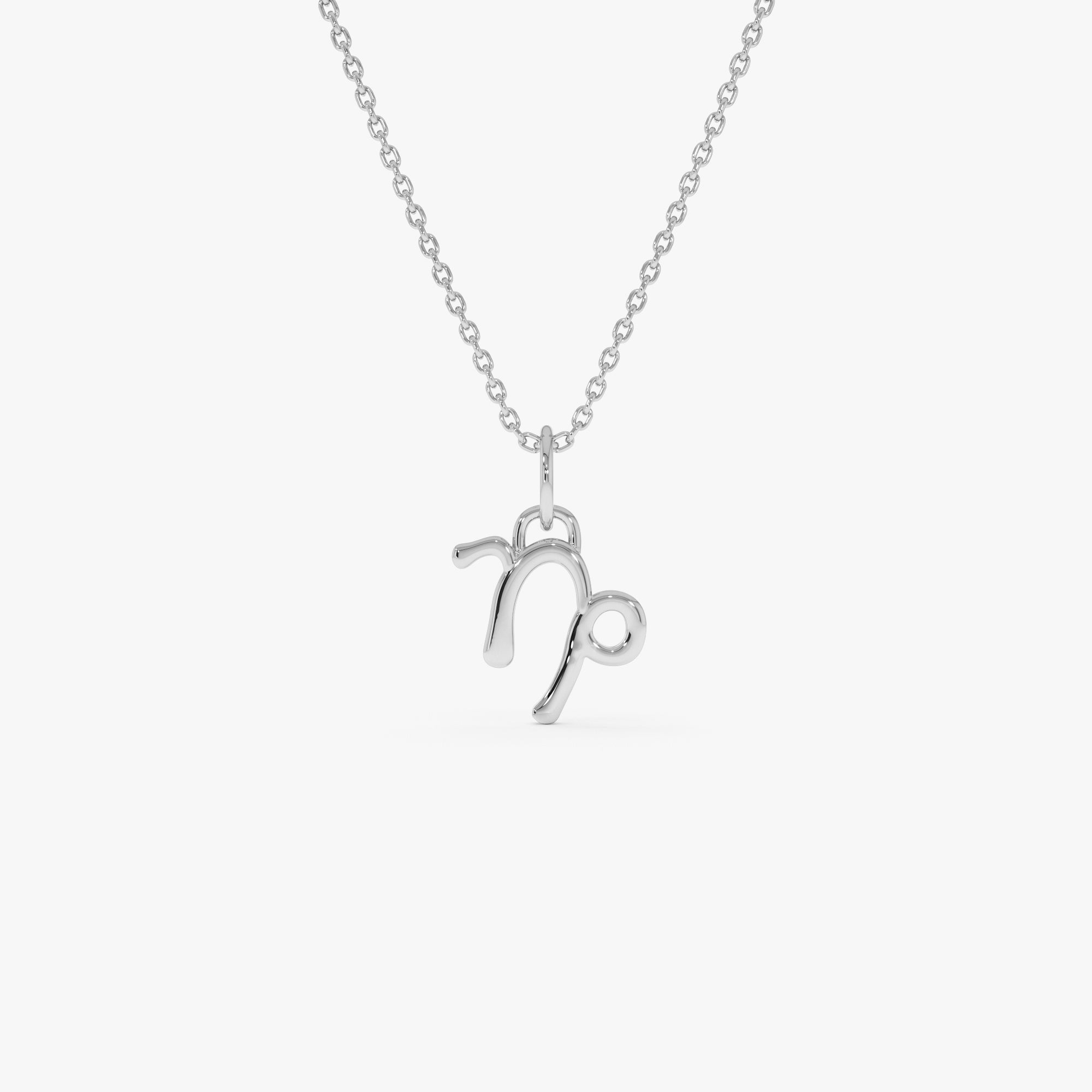 OBFJ0714 - 14K Capricorn Zodiac Charm Necklace 4