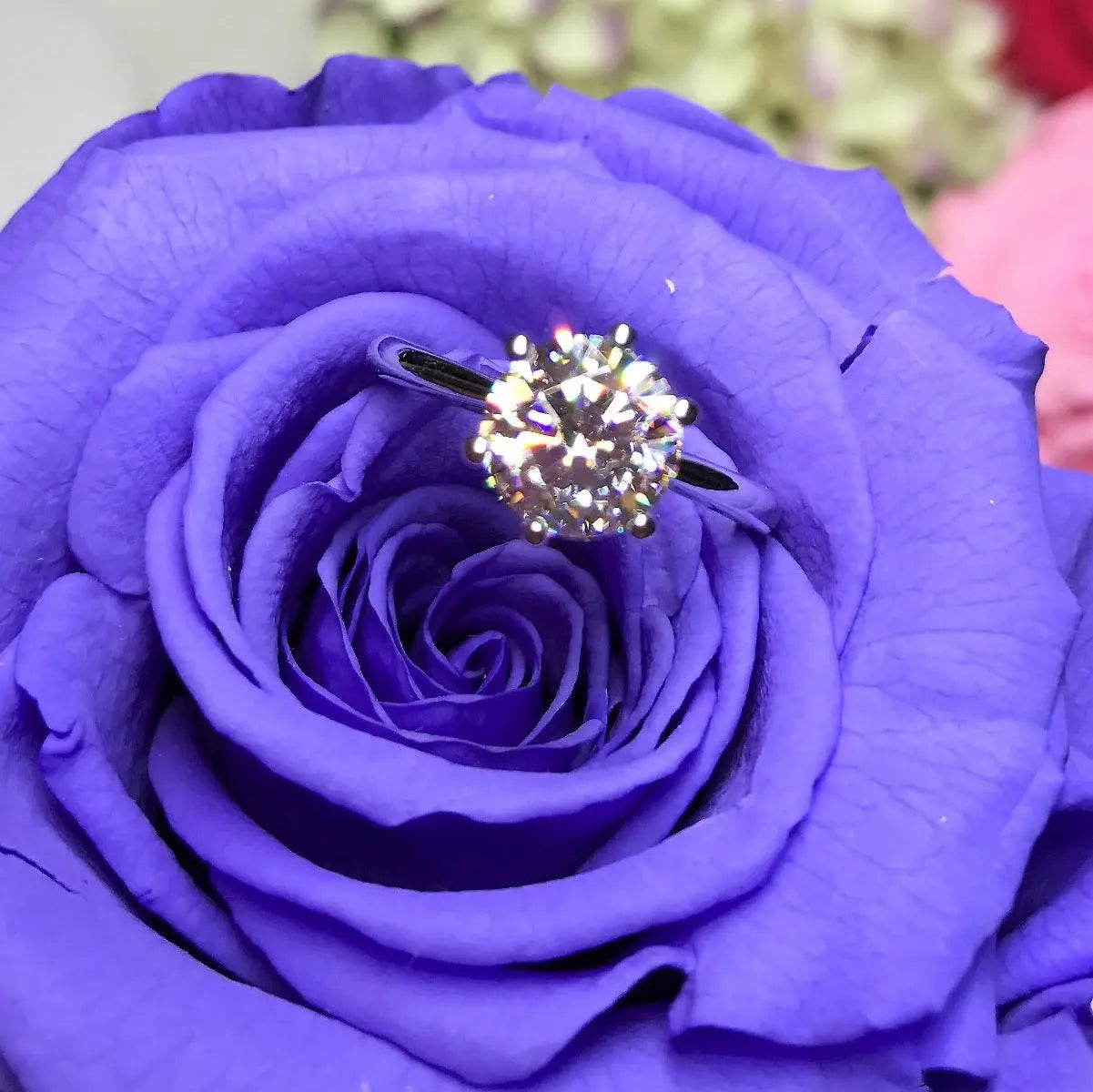 Six Prong Solitaire Engagement Ring - NT12 - Roselle Jewelry