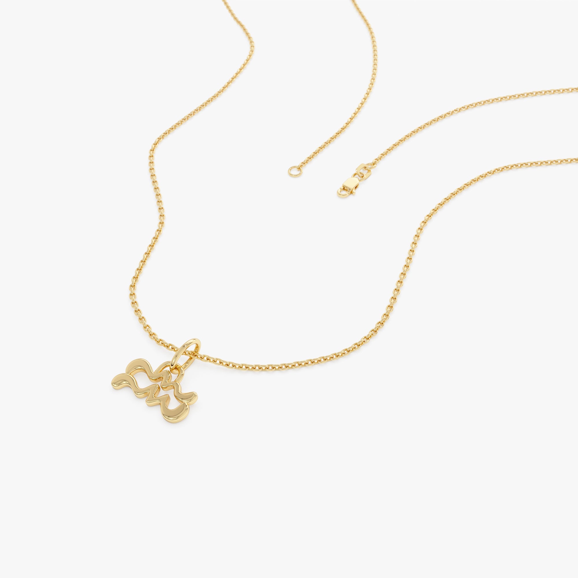 OBFJ0717 - 14K Aquarius Zodiac Charm Necklace 5