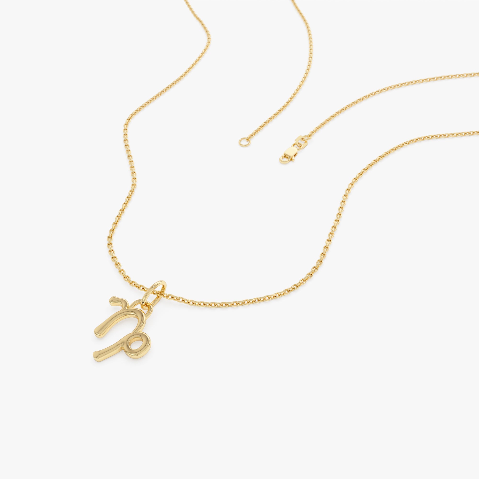 OBFJ0714 - 14K Capricorn Zodiac Charm Necklace 5